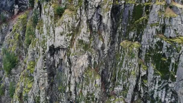 Vuela Cerca Las Rocas Cubiertas Con Musgo Verde — Vídeos de Stock