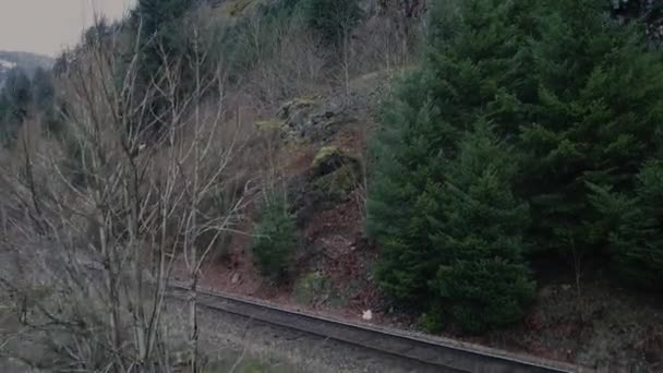 Spoorweg Bergen Met Omgevallen Bomen — Stockvideo