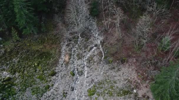 Petit Ruisseau Entre Les Rochers Descendant Vers Rivière — Video