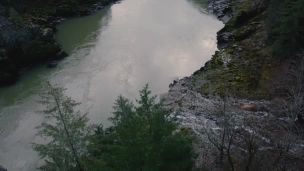 Schlussbild Des Flusses Mit Der Kiefer Vor Der Kamera — Stockvideo
