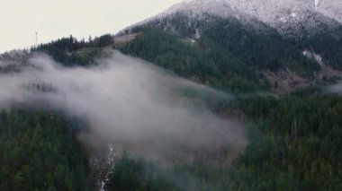 Yeşil çam ağaçları, orman ve tepeleri karla kaplı dağların havadan görünüşü.