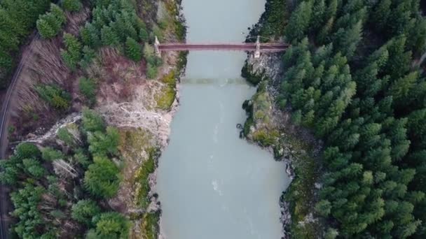 Voe Sobre Uma Ponte Velha Sobre Rio Cercado Por Pinheiros — Vídeo de Stock