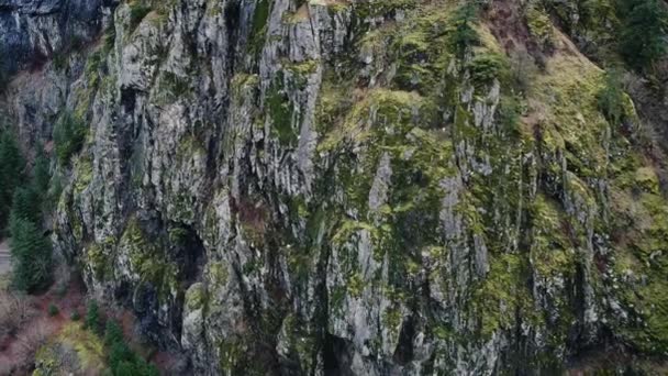 Close Vliegen Buurt Van Rotsachtige Bergen British Columbia — Stockvideo