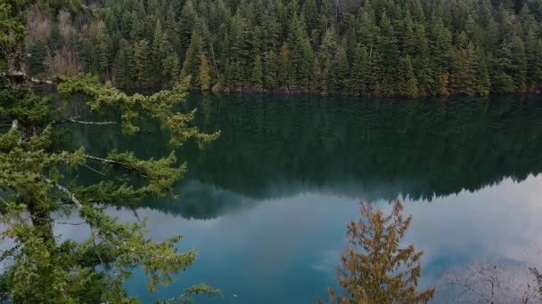 Lago Espelho Com Pinheiros Verdes Frente Floresta Circundante — Vídeo de Stock