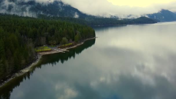 Luftaufnahme Des Sees Mit Dem Wald Und Den Umliegenden Bergen — Stockvideo