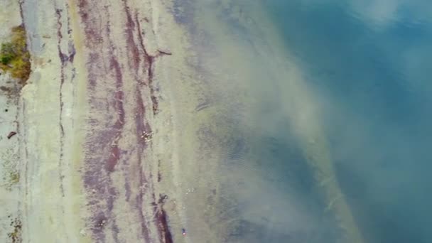 Widok Góry Krawędź Jeziora Czysta Woda Piaszczysta Plaża — Wideo stockowe