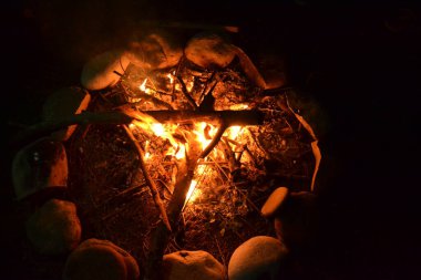 kamp ateşi, ateş, alev, kamp, şenlik ateşi, odun, gece, doğa, yaz, sıcaklık, eğlence, aydınlık, orman, ışık, açık hava, sıcak, turizm, arka plan, yanma