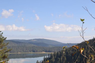 Orman, güzel, manzara, manzara, yeşil, doğal, ağaç, seyahat, doğa, arka plan, üst, güzellik, turizm, gökyüzü, park, vadi, manzara