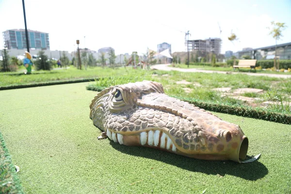 Plaz Krokodýl Příroda Zvíře Divoká Volně Žijící Zvěř Dravec Aligátor — Stock fotografie
