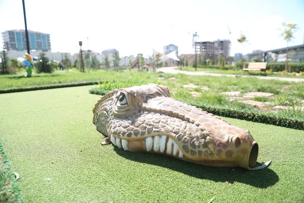 Reptil Krokodil Natur Djur Vilda Vilda Djur Rovdjur Alligator Farlig — Stockfoto