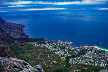 Capetown 'daki kuşlar harika.