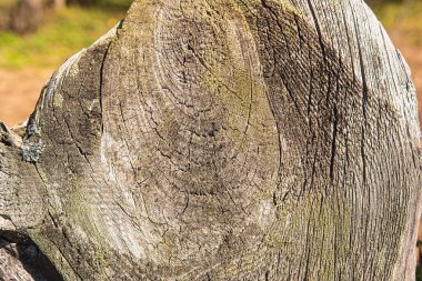 Eski ahşap ahşap ahşap kumaş.