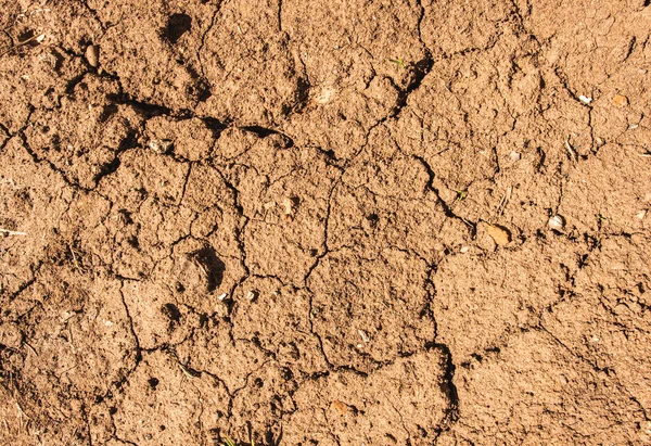 Yağmur toprağı çatlattıktan sonra kurudu.