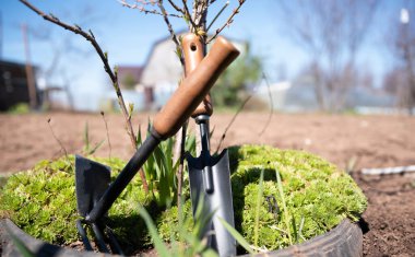 Bahçe aletleri yatağın üstünde.