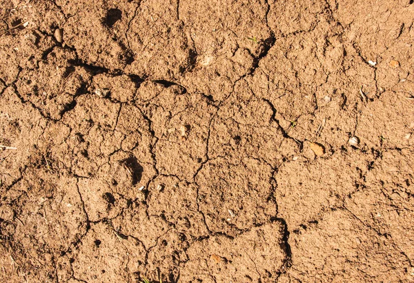 Dried Out Rain Cracked Soil — Stock Photo, Image