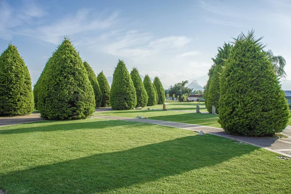 Yeşil şehir parkında bir gölge