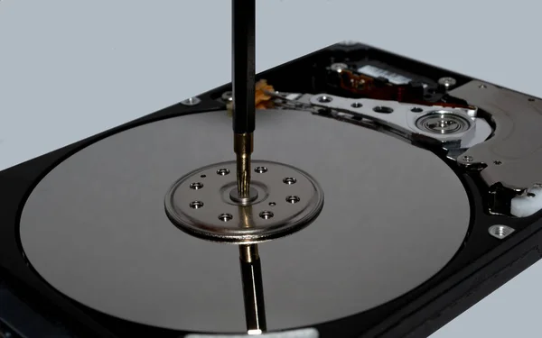 Изолированный жесткий диск на белом фоне с отверткой — стоковое фото