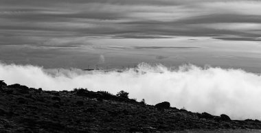 Sis içindeki kırsal alan, siyah ve beyaz görüntü