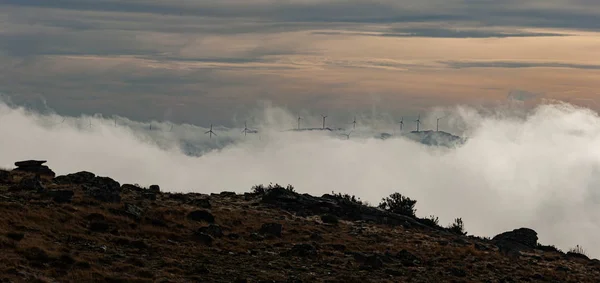 Paisaje Rural Entre Niebla —  Fotos de Stock