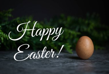 Koyu arkaplanda kahverengi yumurtalar