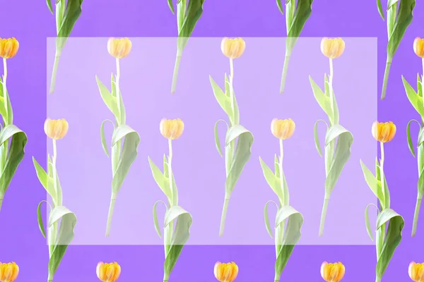 Pattern of yellow tulips violet background