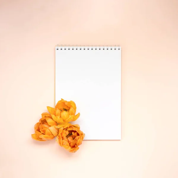 Caderno branco com flores — Fotografia de Stock