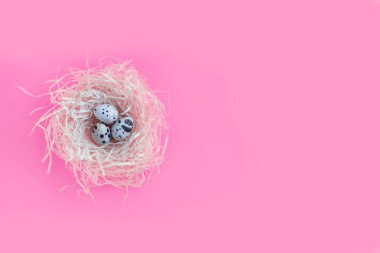 Yuvada bıldırcın yumurtası