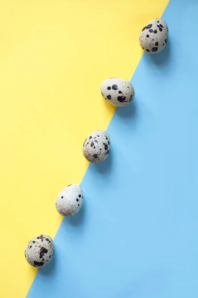 Huevos de codorniz sobre fondo plano — Foto de Stock