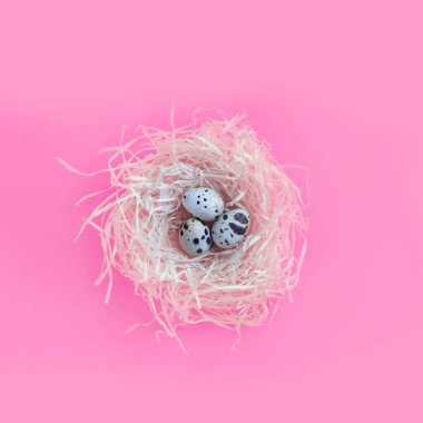 Yuvada bıldırcın yumurtası