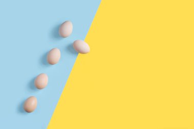 Düz arkaplanda 5 yumurta
