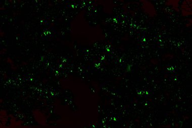 Parlak elementlere sahip siyah arkaplan