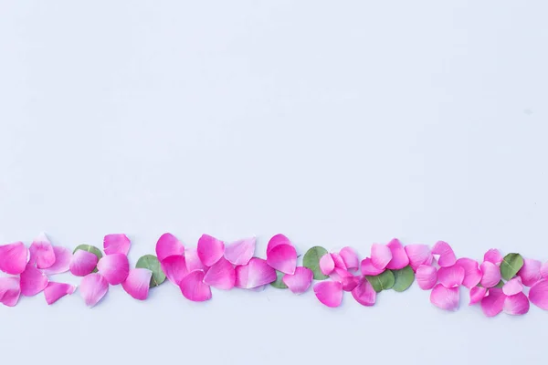 Beautiful pink petals copy space — Stock Photo, Image