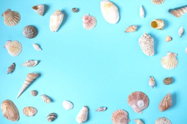 Mavi arka planda deniz kabukları yaz atmosferi
