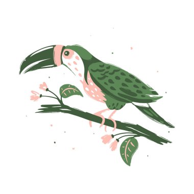 Bir dalda oturan bir Toucan. El çizimi vektör illüstrasyonu