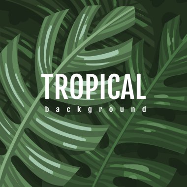 Yeşil tropikal yaprakların arka planı. El çizimi biçiminde vektör illüstrasyonu