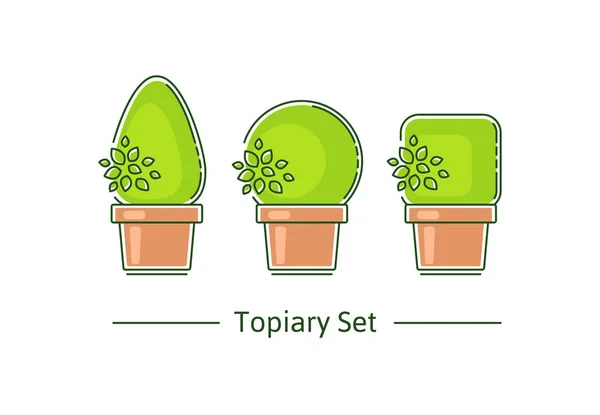 A set of boxwood topiary of different forms. Vector illustration in modern style — ストックベクタ