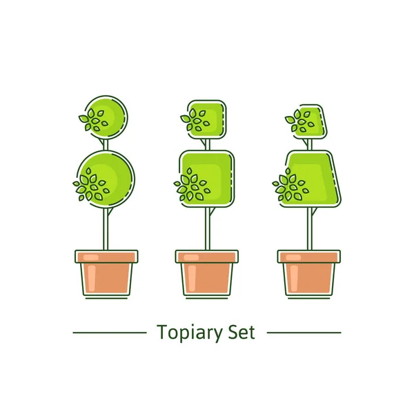 A set of boxwood topiary of different forms. Vector illustration in modern style — ストックベクタ