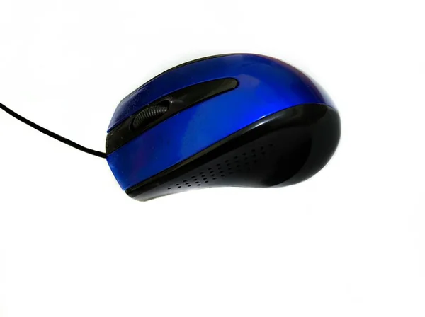Computer Mouse on white background
