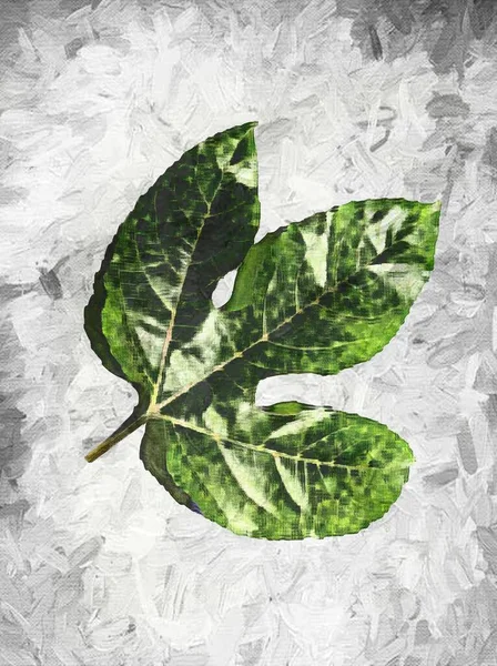Green Leaf Illustration Hintergrund — Stockfoto