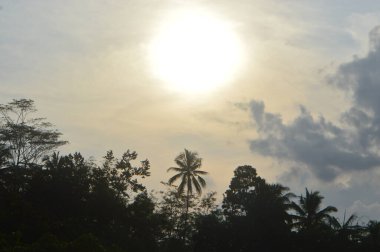 Güneş bulutların ve ağaçların arkasında. 