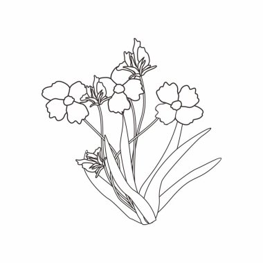 Kumaş, masa örtüsü, battaniye, gömlek, elbise, poster ve kağıtlar için çiçek motifli desen.