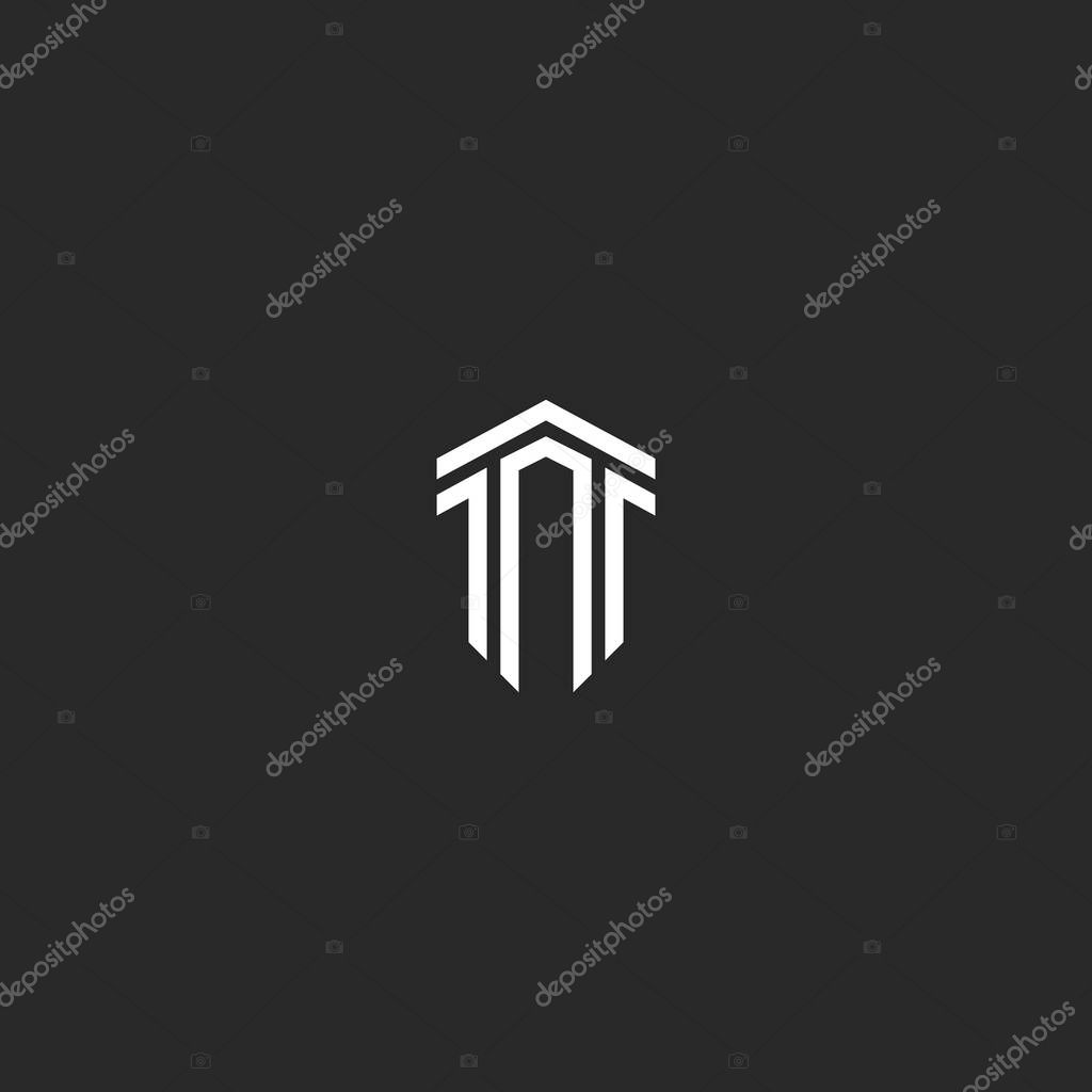 Letter T logo monogram combination of two letters TT parallel lines shape an isometric form of a shield, a creative idea a modern emblem, hipster typography design element