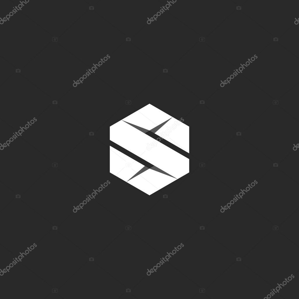 Letter S logo in the geometric form of a hexagon folded from a strip of white paper in the style of origami.