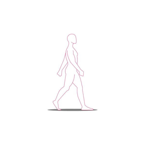 Silhouette of a man in full growth moves, vector illustration in pink thin lines, the man is walking. — Stock vektor