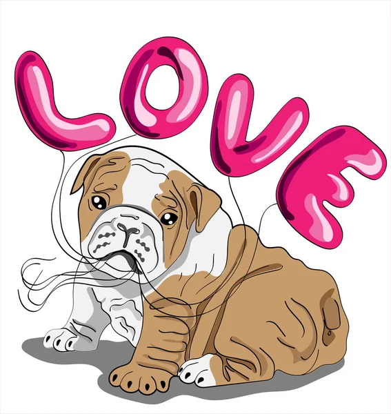 Leuke Buldog Puppy Houdt Ballonnen Tussen Zijn Tanden Liefde Belettering — Stockvector