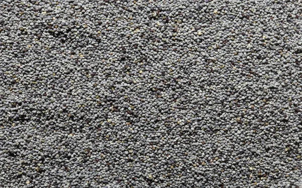 Yiyecek arkaplanı için haşhaş tohumu deseni fotoğrafı — Stok fotoğraf