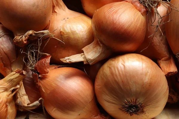 Photography of onions patern for food background — Stockfoto