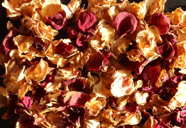 Photography of dried rose petals for background
