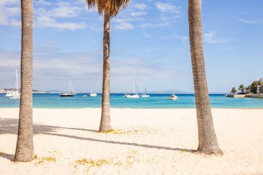 İspanya, Palmanova Mallorca 'daki güzel kum plajı. Teal Denizi ve beyaz kum.