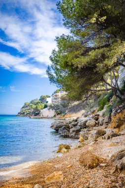 İspanya, Palmanova Mallorca 'daki güzel taş plajı. Teal Denizi ve çam ağaçları.